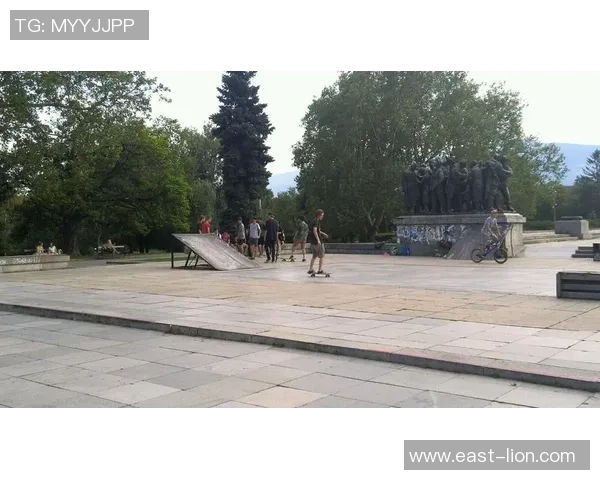 重庆极限运动队的精神追求与意识形态探讨