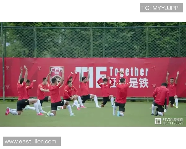 深圳足球队的拼搏之路与荣耀时刻的全景回顾